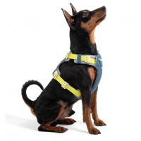 Woolly Wolf Alpha 360 Hundegeschirr für Hunde Deep Teal petrol S