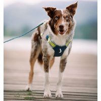 Woolly Wolf Alpha 360 Hundegeschirr für Hunde Deep Teal petrol XL