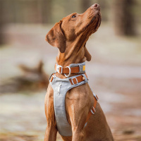 Woolly Wolf Alpha 360 Halsband für Hunde Glacier Green mint S