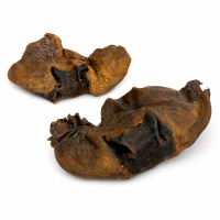 PITUPITA Kamelnasen schonend getrocknet für Hunde 500g
