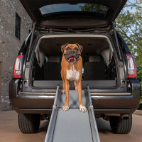 PetSafe Happy Ride Compact Teleskop Hunde Rampe