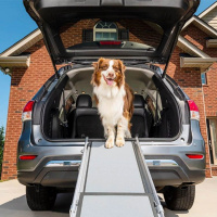 PetSafe Happy Ride Teleskop Hunde Rampe