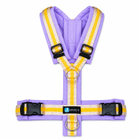 AnnyX Brustgeschirr Hundegeschirr Fun Limited Edition...