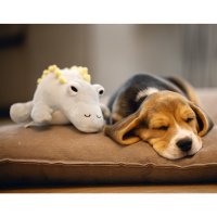 Beeztees Puppy Kuschelspielzeug für Hunde
