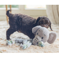Beeztees Puppy Kuschelspielzeug mit Seil für Hunde