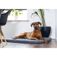 Beeztees Orthopädisches Kissen Hundekissen ITO