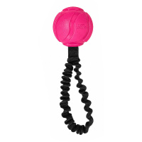 Dog Comets AstroFlex Ball mit elastischem Band für Hunde