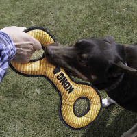 KONG Armor Double Tug Hundespielzeug