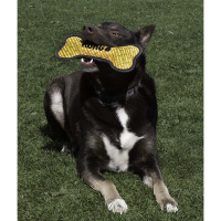 KONG Armor Bone Knochen Hundespielzeug