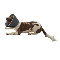 KRUUSE BUSTER Halskragen Halskrause für Hunde