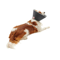 KRUUSE BUSTER Halskragen Halskrause für Hunde
