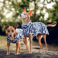 Rukka Pets Shirt Schutzshirt für Hunde