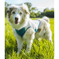Non-stop dogwear Cooling Pull-On Kühlweste für...