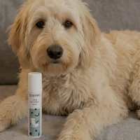DODERM Hydro RepairGel Dog für empfindliche Haut