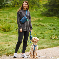 Dog Copenhagen Hüfttasche Seitentasche Belt Bag Go...