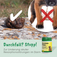 cdVet DurchfallStopp Pulver für Hunde