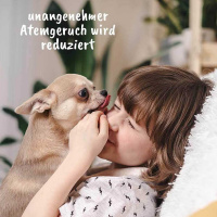 cdVet DentaVet Gel Zahngel für Hunde