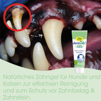 cdVet DentaVet Gel Zahngel für Hunde