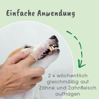 cdVet DentaVet Gel Zahngel für Hunde
