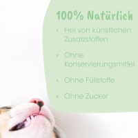 cdVet DentaVet Gel Zahngel für Hunde