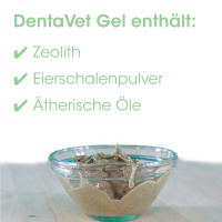 cdVet DentaVet Gel Zahngel für Hunde
