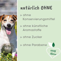 cdVet DentaVet Gel Zahngel für Hunde