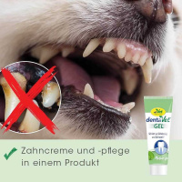 cdVet DentaVet Gel Zahngel für Hunde