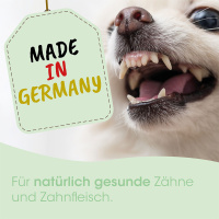 cdVet DentaVet AntiPlaque Gel für Hunde
