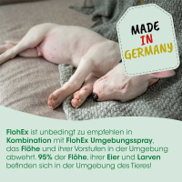 cdVet FlohEx Flohschutz für Hunde