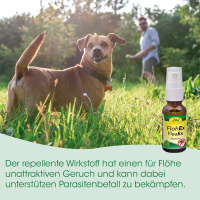 cdVet FlohEx Flohschutz für Hunde