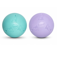 COACHI Puppy Mini Boomi Ball Hundeball für Welpen