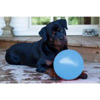 Jolly Bounce-n Play Ball Spielspaß für Hunde