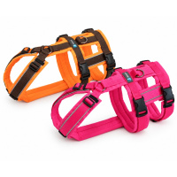 AnnyX Sicherheitsgeschirr Safety PROTECT