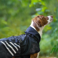 AnnyX Mantelgeschirr Storm