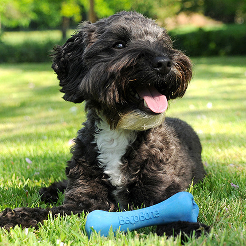 BecoPets Snackspielzeug BecoBone Knochen blau S