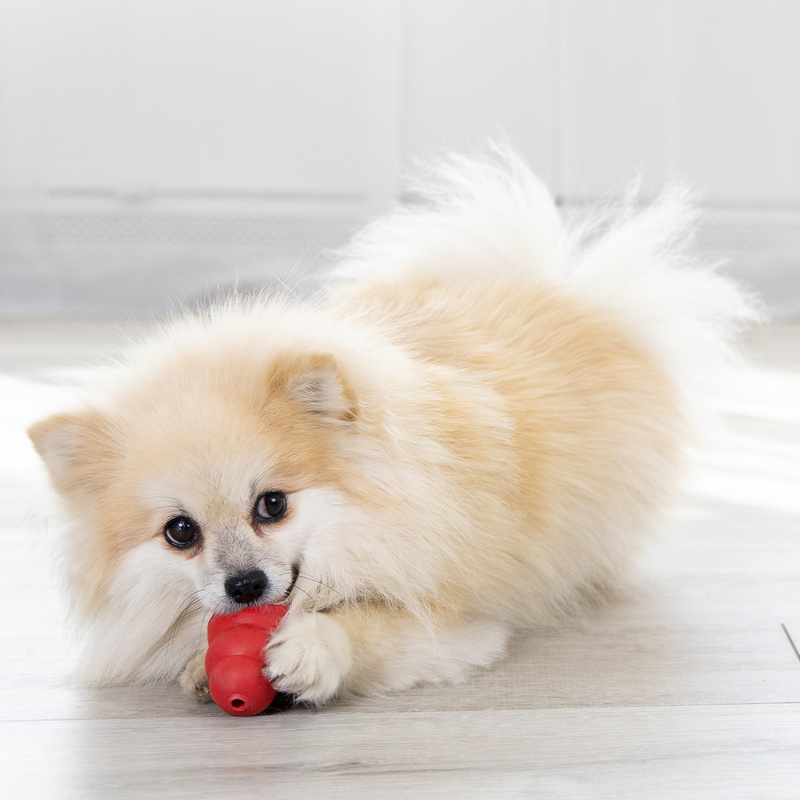 KONG Classic rot L